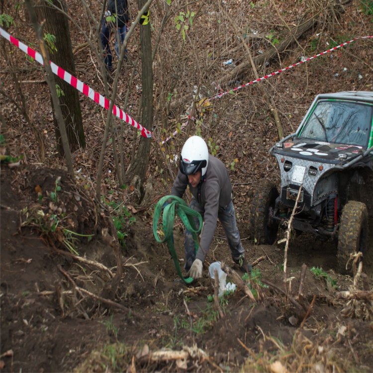 90999985_CupaPodulInalt2013103.thumb.jpg.fad2af22d1fc3febd4ab1730b74bd40a.jpg