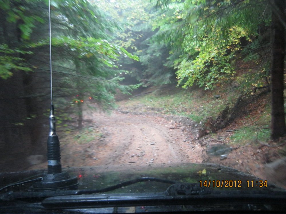 915177847_Picture338.thumb.jpg.bb2ff1458d6578c890d1767079b77d3e.jpg
