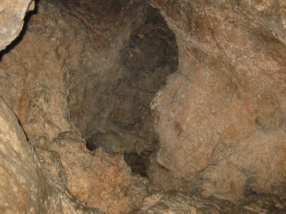 933203695_Daci070.thumb.jpg.9fb6d1b7325b8ae805325c47e7bd90f7.jpg
