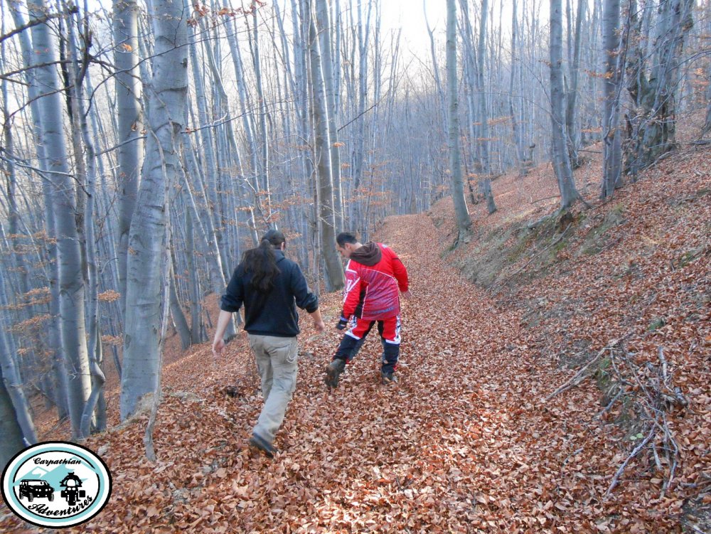 939201060_DSCN8087modificatt11.thumb.JPG.cdd3ab96adaf7311e411a42511498b44.JPG
