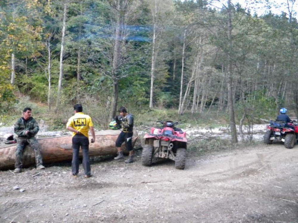 9548037_DSCN6348(Medium).thumb.JPG.11675c564190e18618518520f99e74e0.JPG