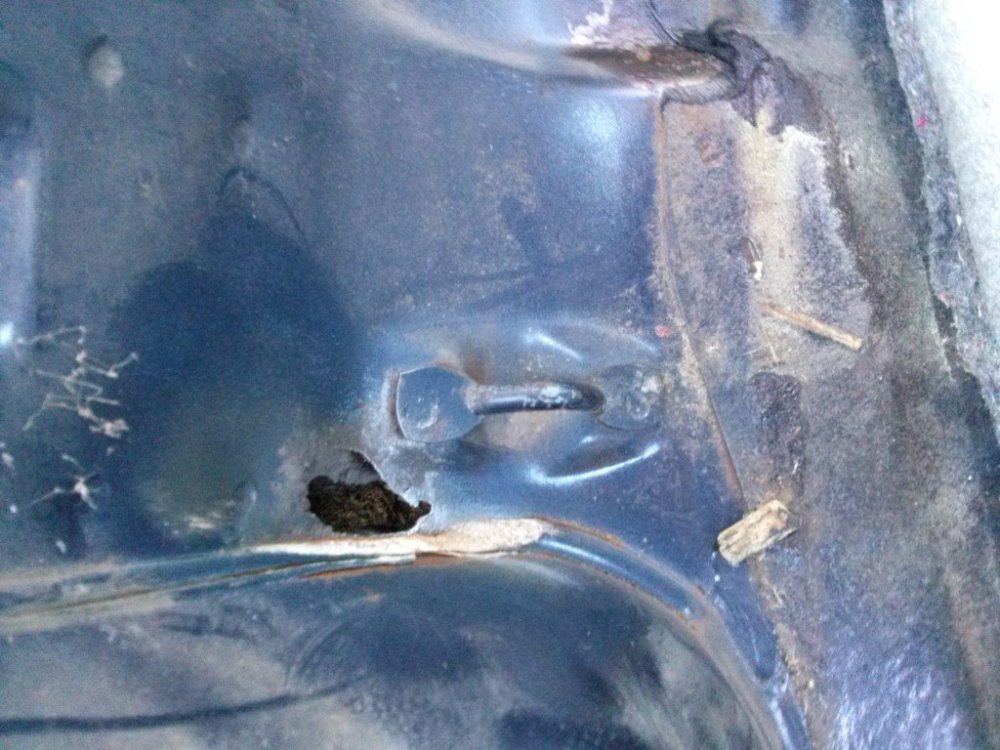 95661935_CAM01379(Medium).thumb.jpg.7124f7289302c1a97c065cf45f3c6b50.jpg