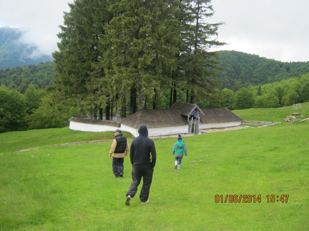966363360_Picture138.thumb.jpg.70b0c7b7ddb47c6ea0e36d52c671989f.jpg