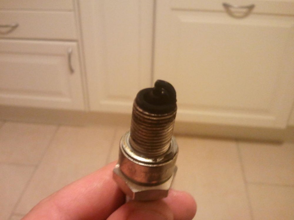 975441088_2012-03-1523_08_56.thumb.jpg.3d7c3eb621538c72f5c5c9fd86af0d6e.jpg