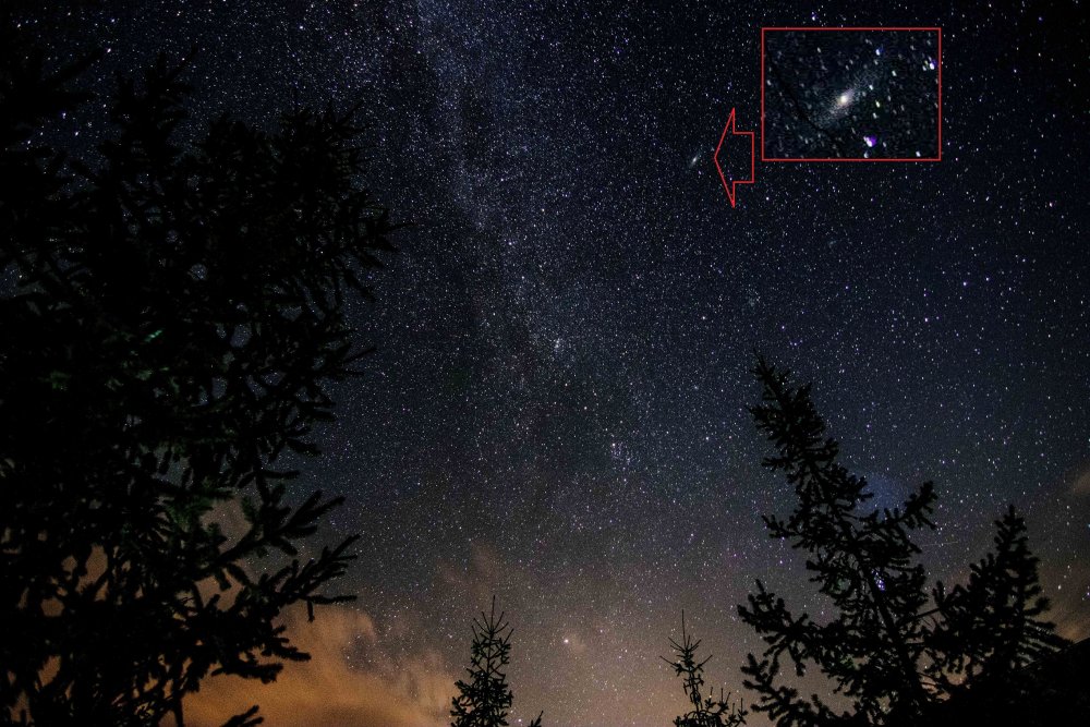 Andromeda.thumb.jpg.40ceb75616f798c6cfe0081cfc35c1e0.jpg