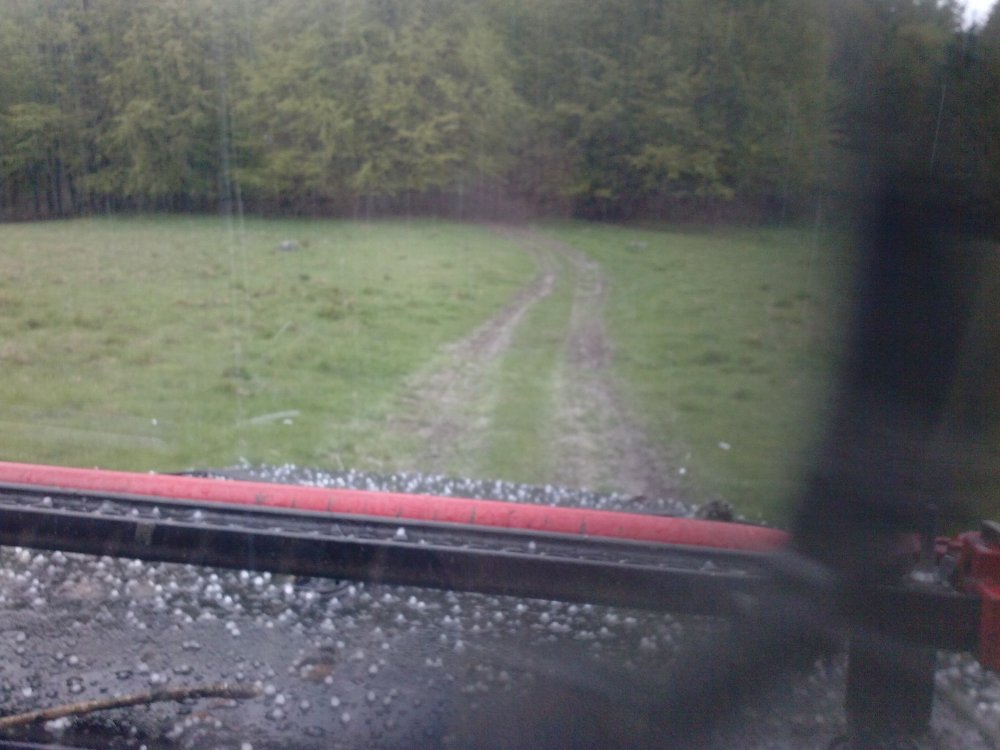 CAM02774.thumb.jpg.c851f3179dbab58fdb7a403ae5b4839c.jpg
