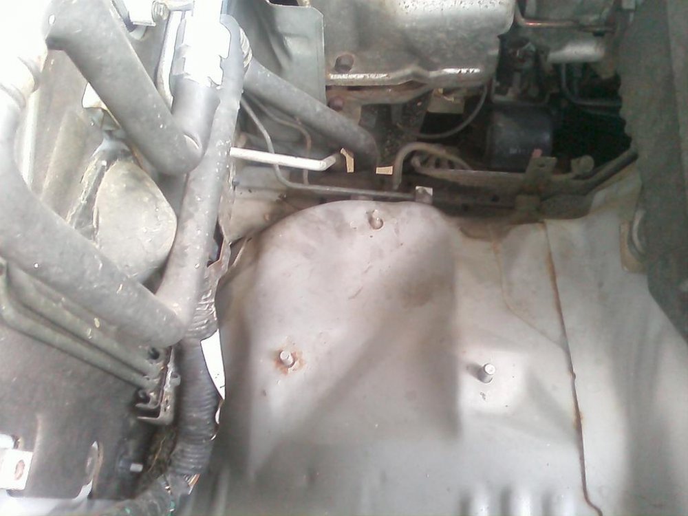 CAM_0015.thumb.jpg.0bddc9bd98fc514c7cac2d53d494bee3.jpg