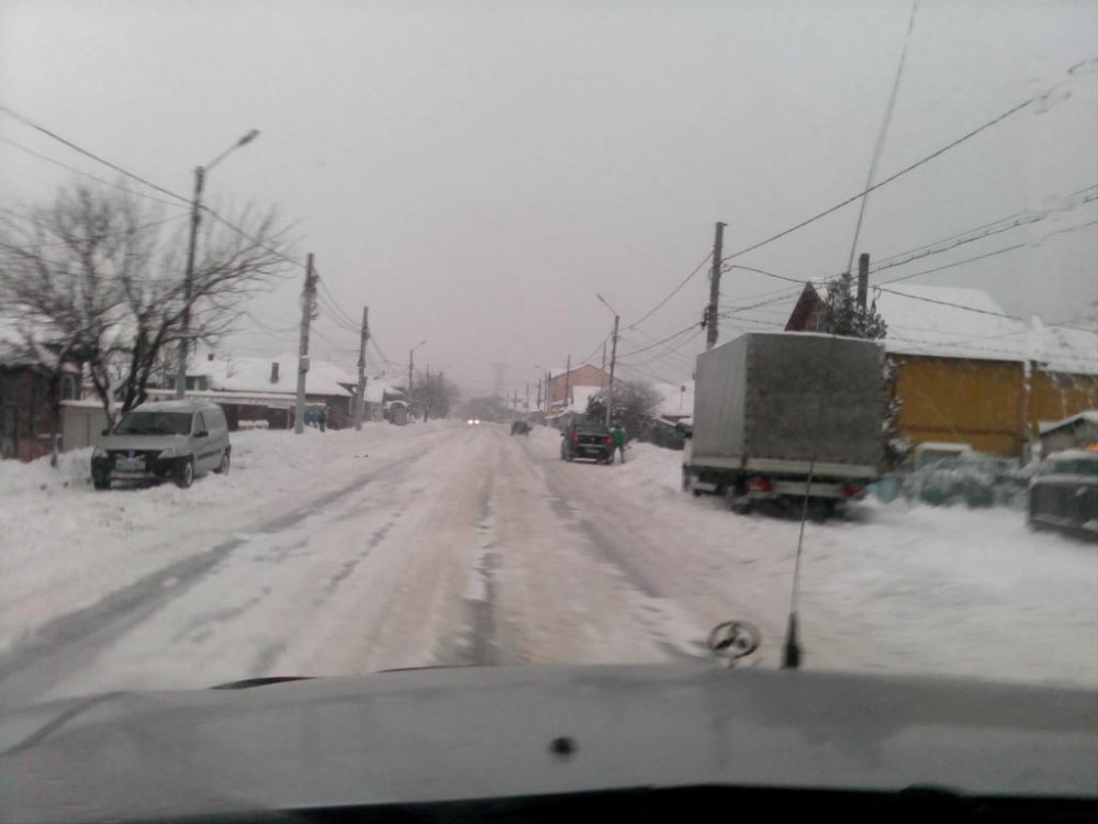 CAM_0547.thumb.jpg.6eaff1871a1d2caa60dec4d1d6ec143c.jpg
