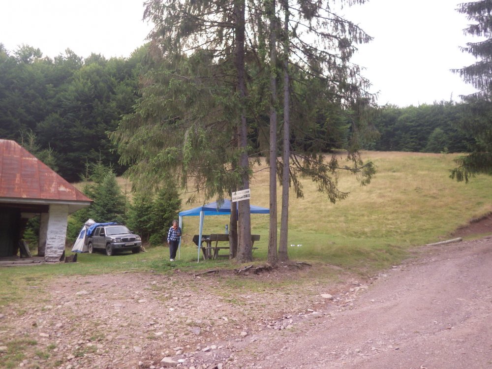 CATA6018.thumb.JPG.ee14f8e9d62ca48901e8ad60a216a2a2.JPG