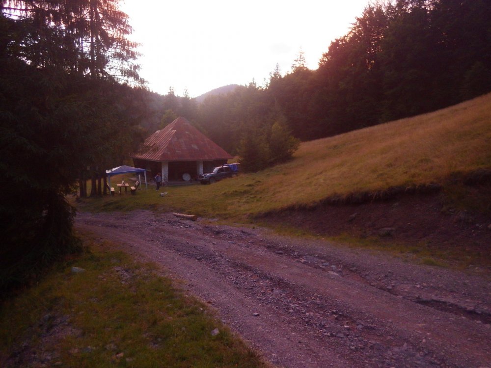CATA6051.thumb.JPG.04e15d59f238a0c81ff6f642dc056c33.JPG