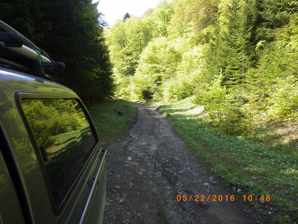 CATA6787.thumb.JPG.d96ffa8f2fd56bba0b9c1e7a9c1c0aa1.JPG