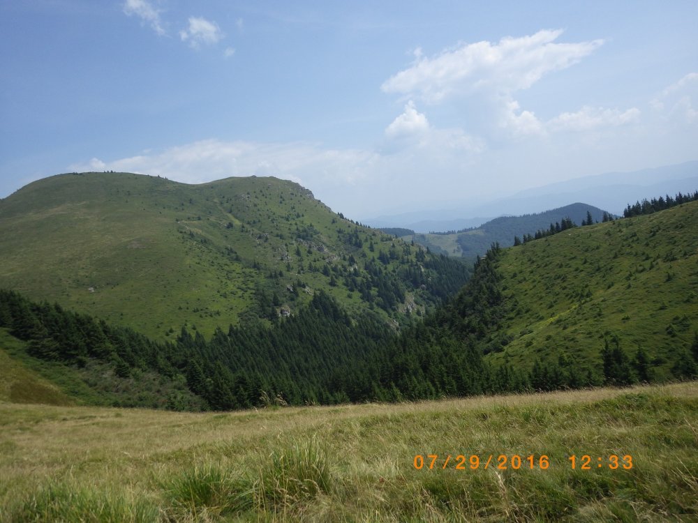 CATA7499.thumb.jpg.24645b85438f38374206e1d96cc081a3.jpg