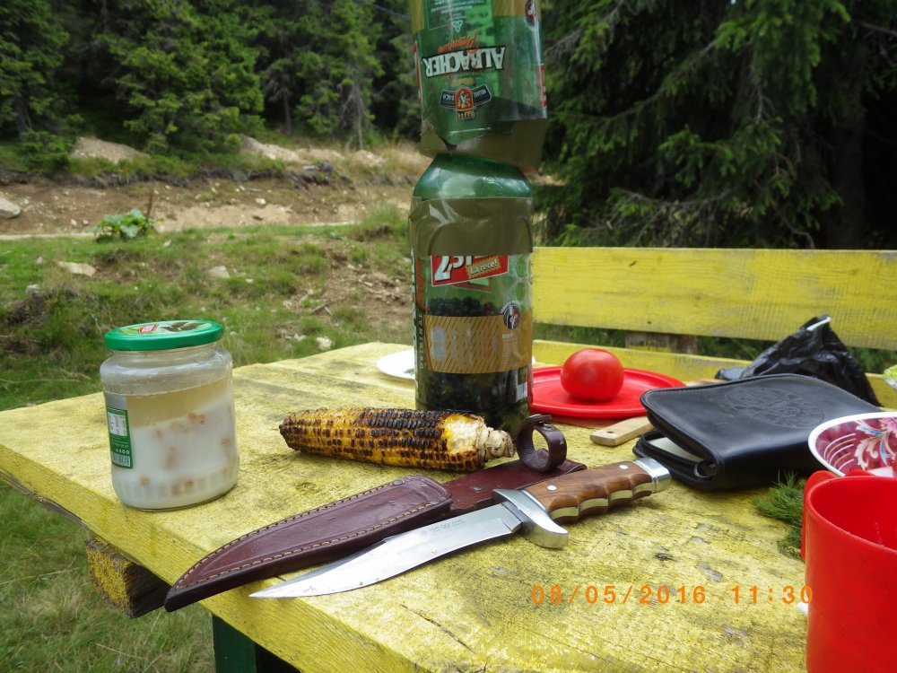 CATA8028.thumb.jpg.d9743262b195accd9c3de7debeb71d00.jpg