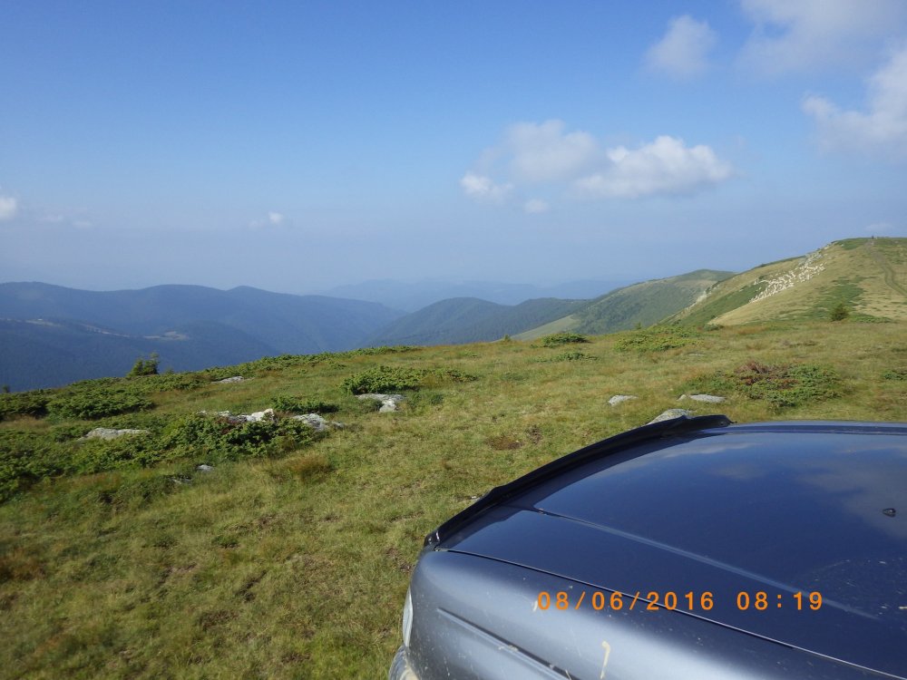 CATA8066.thumb.jpg.bc15c7797e96db2580ccfb2e17eeb6fe.jpg