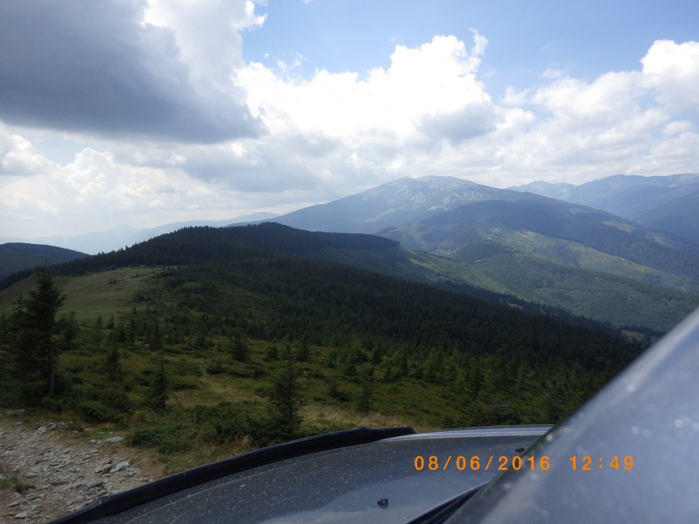 CATA8133.thumb.jpg.84b789731d52de40e1745a78fec00776.jpg