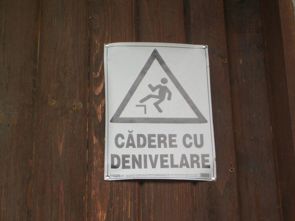 CIMG0001.thumb.jpg.589a8d5ef2ec78ff776ecf46b227675e.jpg