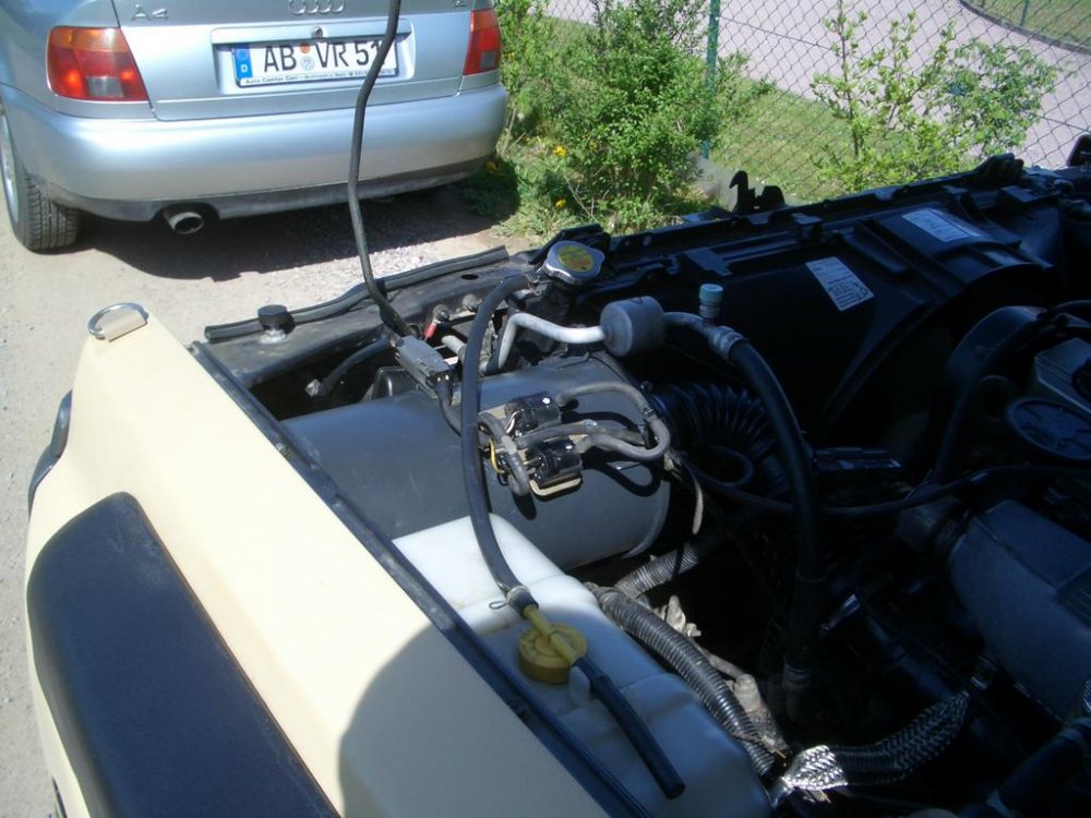 CIMG1389.thumb.jpg.e95a2911de9d6509cc4733e950469e3f.jpg