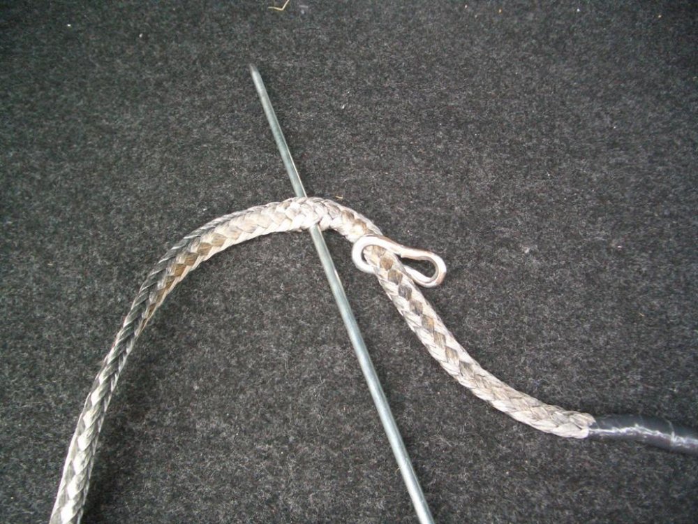 CIMG2277.thumb.jpg.85f8aa8a484c1edf8ffc1f568070c6bf.jpg