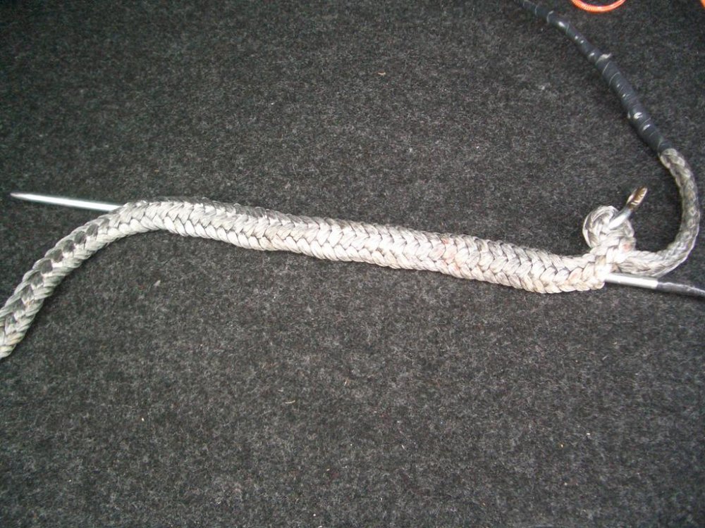 CIMG2279.thumb.jpg.d2d51ff631d31555d93e2e621b17e0cb.jpg