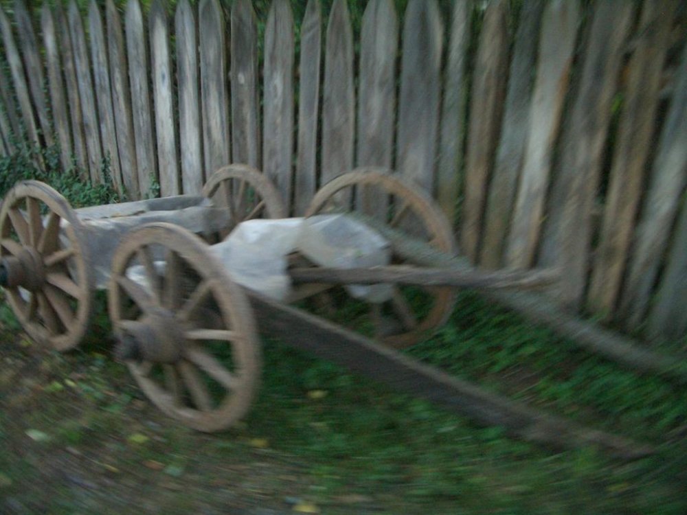CIMG4809.thumb.jpg.0688fe7ee859713612c4179e96fbc1de.jpg