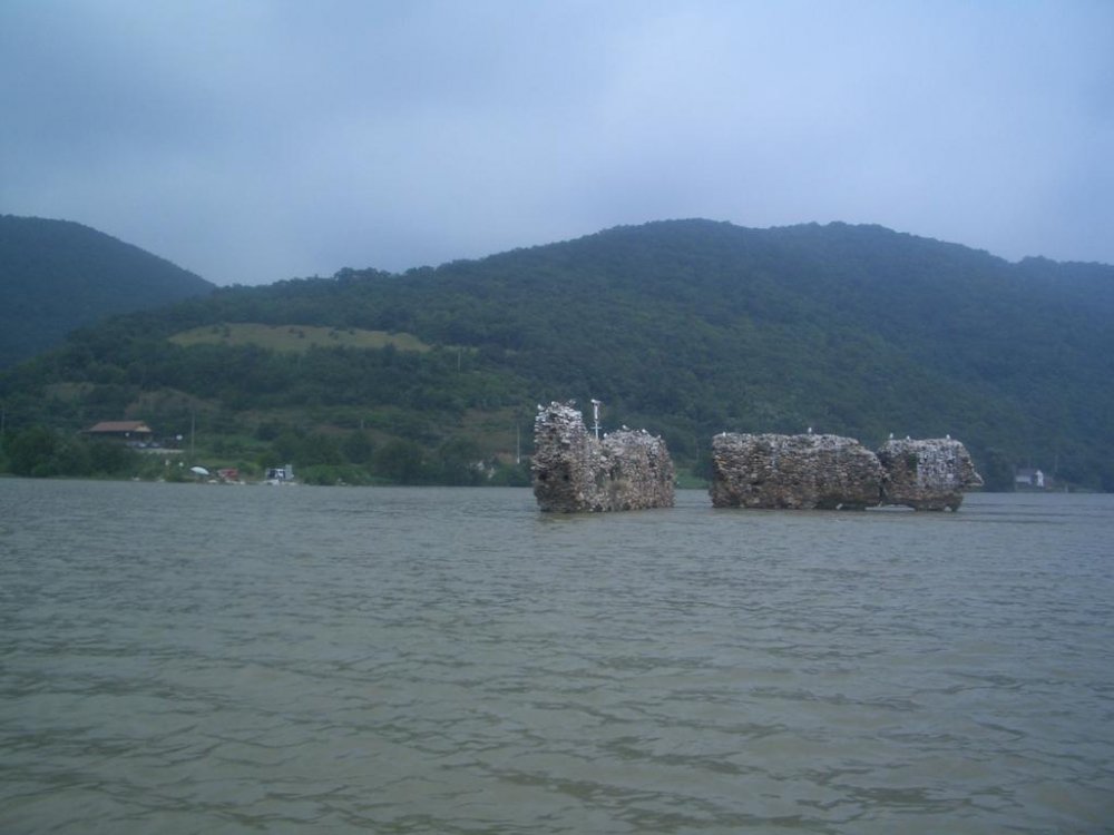 CIMG8860.thumb.jpg.633fafd2b2529711c493301fcc0b945b.jpg