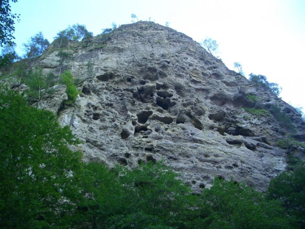 CIMG9414.thumb.jpg.bd72760b26f1a81194c09195f4a7b662.jpg