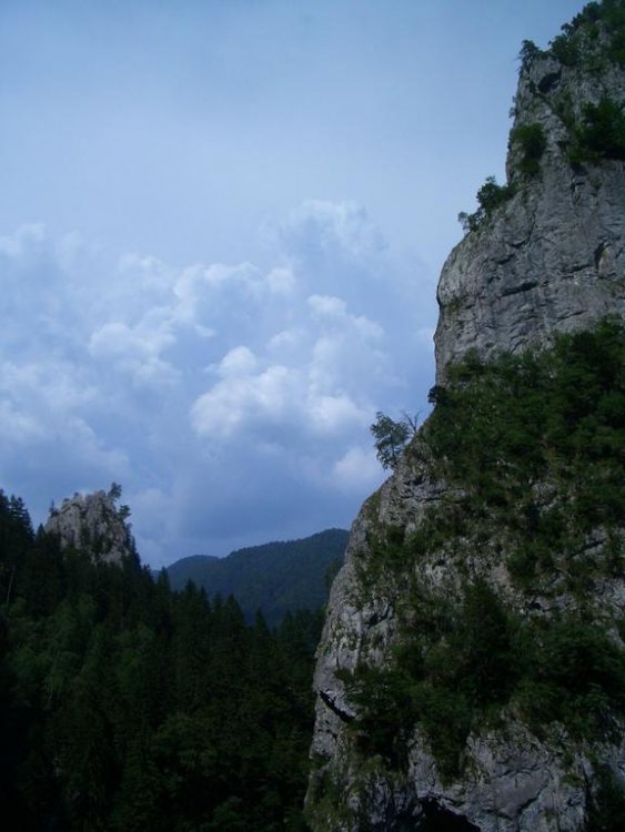 CIMG9516.thumb.jpg.99244a42054cec9fecb939018f1a11a9.jpg