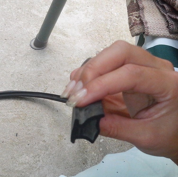 Cheder.thumb.jpg.5319a2f39d3eb02e6d73b171b7a2244d.jpg