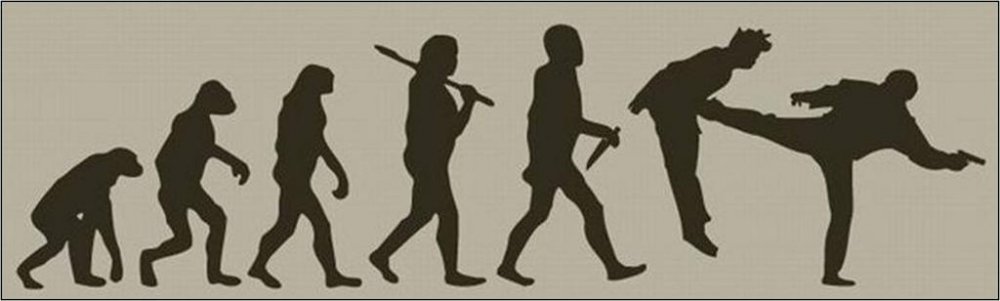 Chuck_Norris_Evolution.thumb.jpg.fea56b1b3edfa6e66b46e8f5363f90cf.jpg