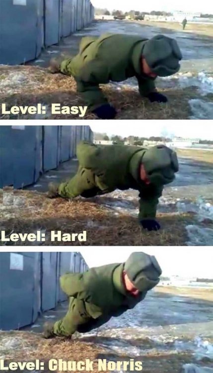 Chuck_Norris_Pushu-ps.thumb.jpg.76956b3dd4777459eb44cbe3fbf8b4da.jpg