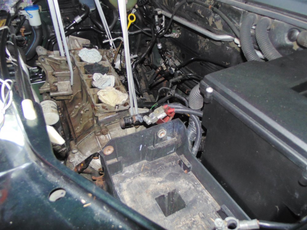DSC00041.thumb.JPG.ef59b1fa814994a95a0cab21cad4e306.JPG