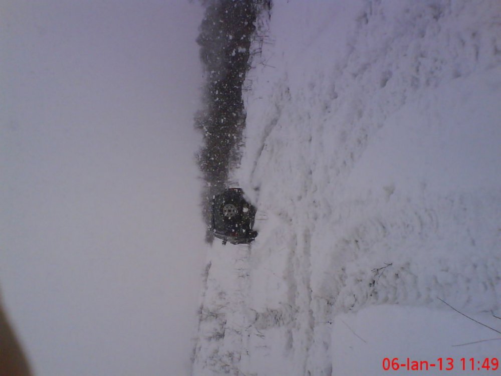 DSC00144.thumb.jpg.74bf33c1998824c2dfdb53febbef2a78.jpg