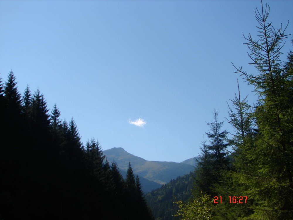 DSC00255.thumb.jpg.b87285f814cd71488a6c2663e309a4ea.jpg