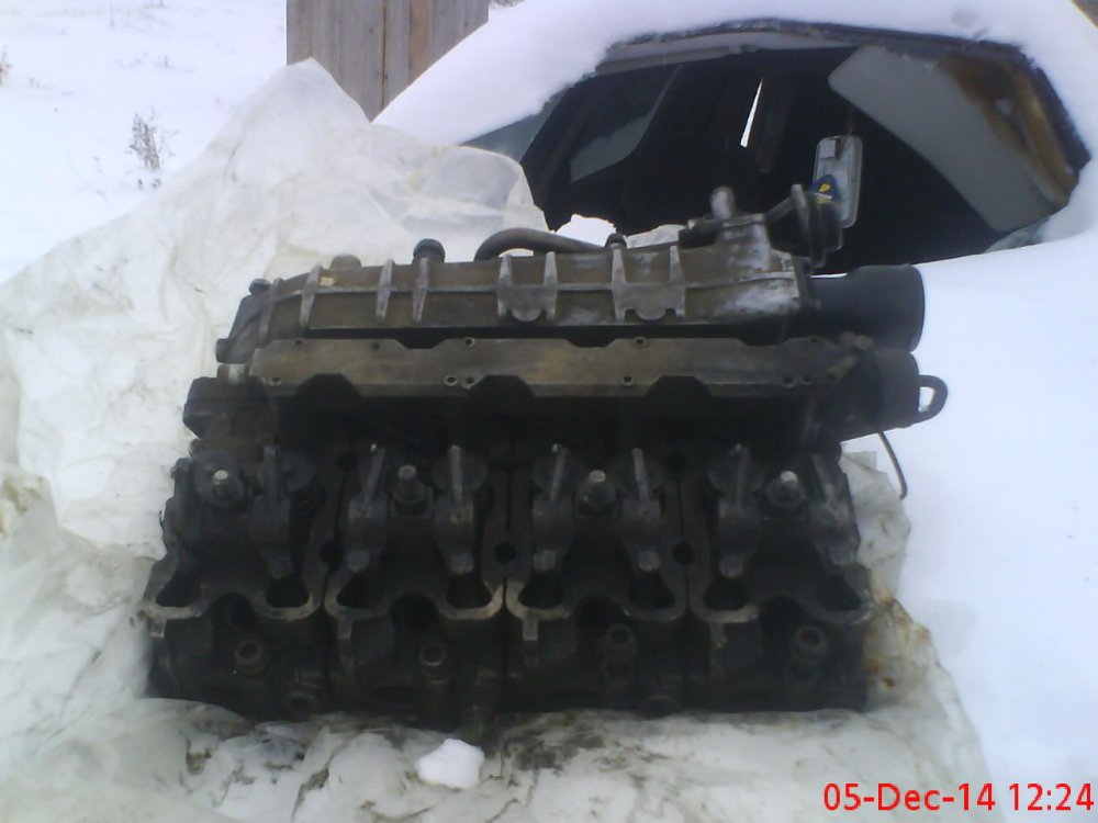 DSC00262.thumb.JPG.a08b1c216e8d4be72c86cf6aff758b70.JPG