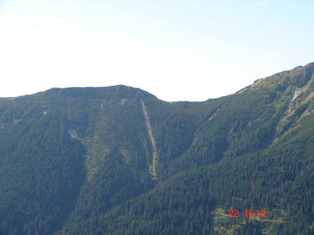DSC00361.thumb.jpg.0f1a0a57734ff0165419c47537d51bf7.jpg