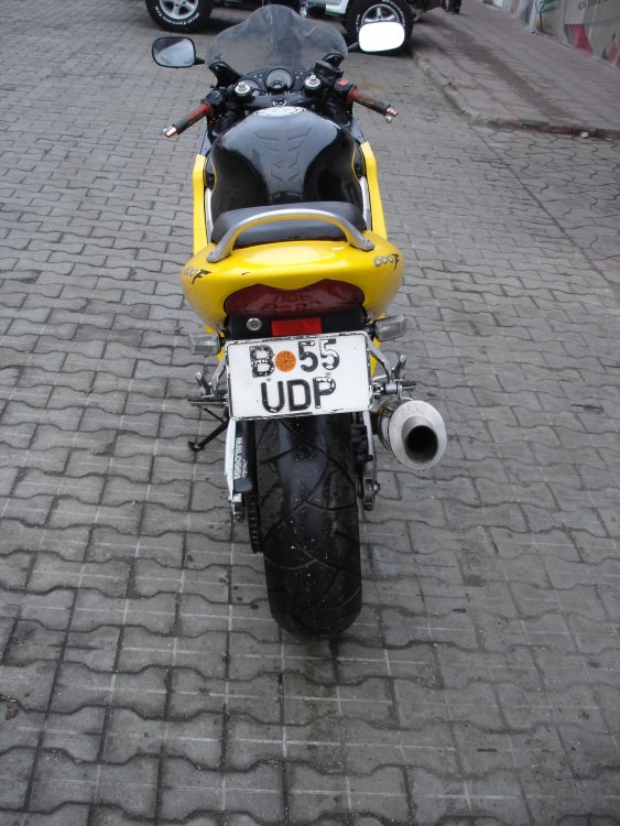 DSC01203.thumb.JPG.fb78a15a8bd2c92d416ef066c4fde543.JPG
