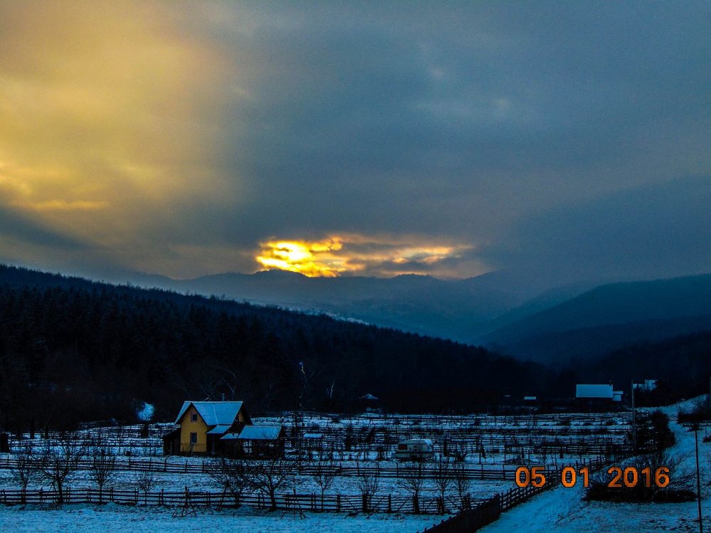 DSC01558.thumb.jpg.44f7f7a472ec260a18a7b3eaed10fd61.jpg