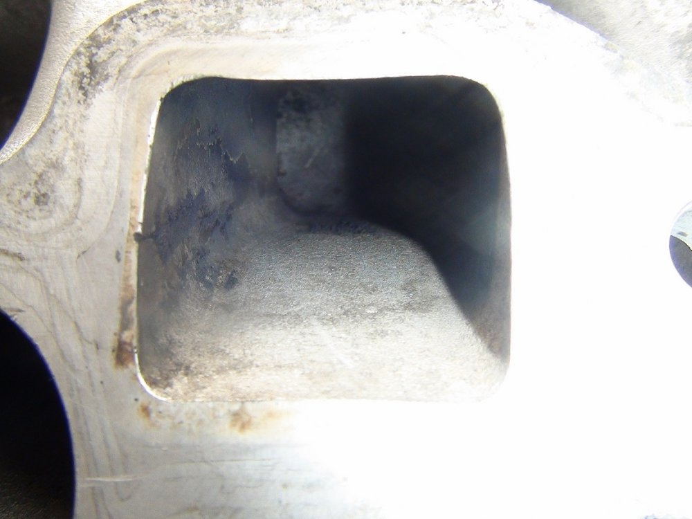 DSC01646MIC.thumb.jpg.47e30824366698a1be1d0e2af591f3fb.jpg