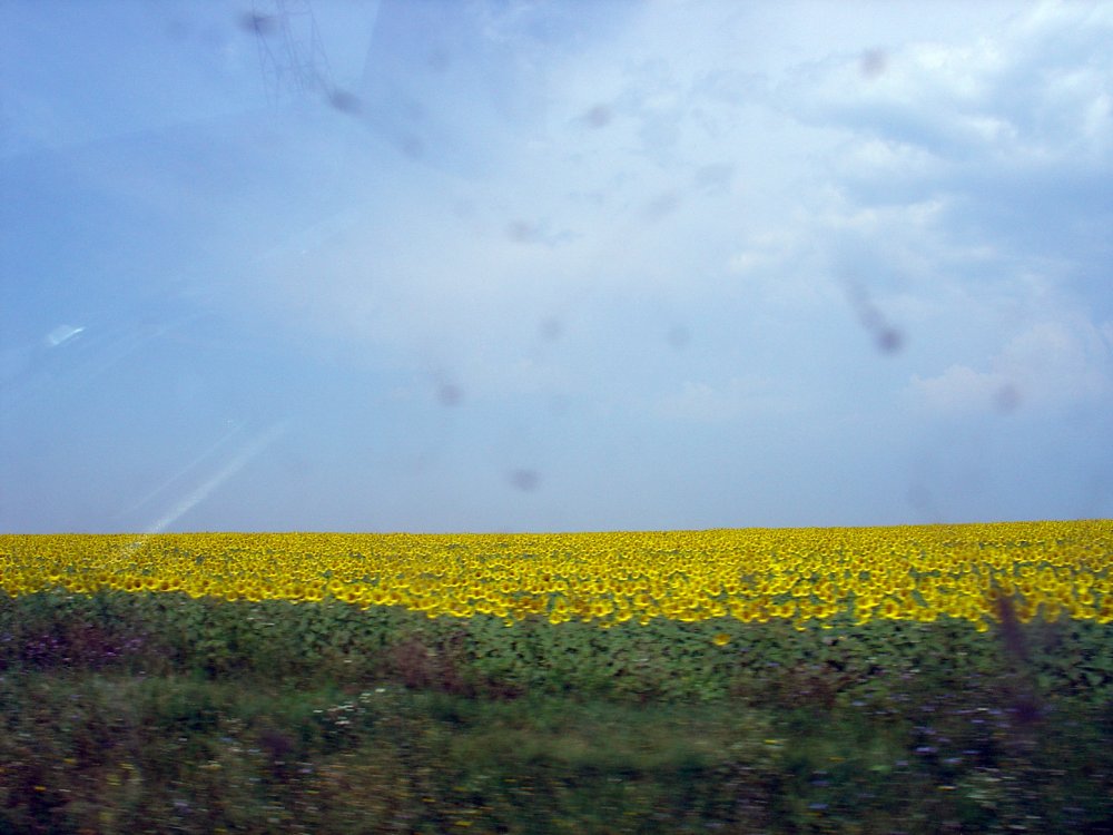 DSC01967.thumb.JPG.da470bda879da12ca74b5d5a3d541595.JPG