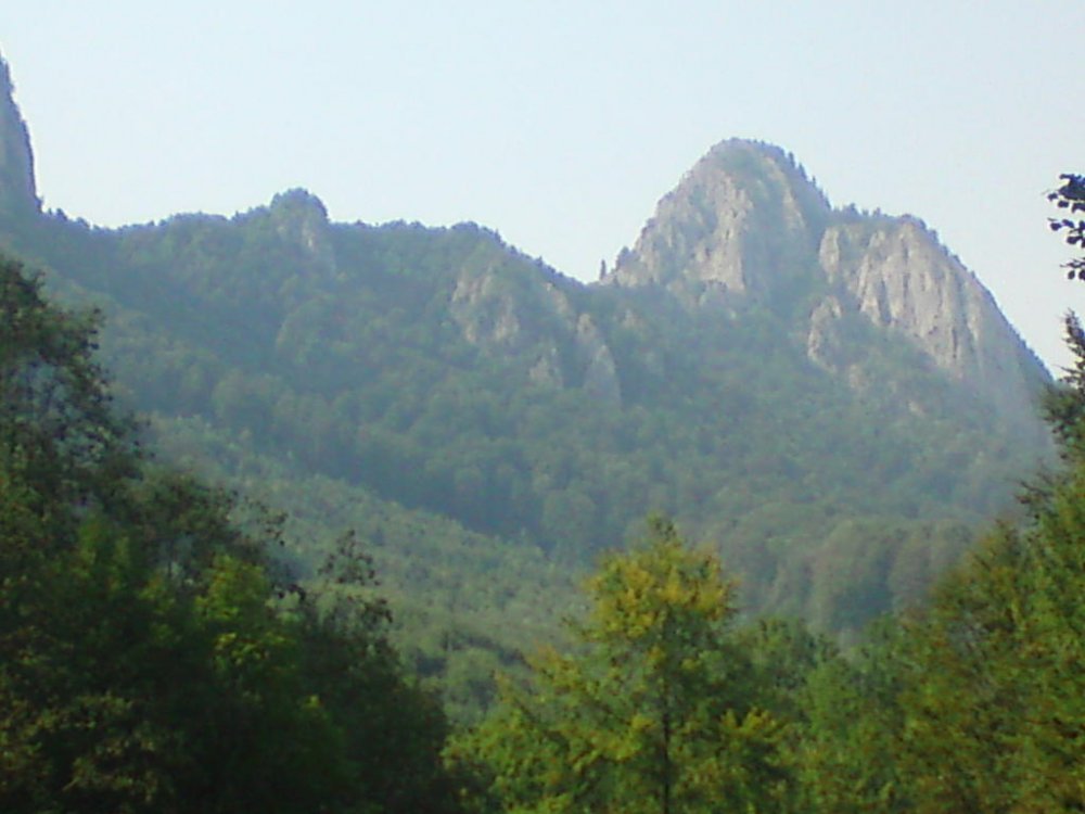 DSC02174.thumb.jpg.847bc4d21c6e8ddfcfd20f46ec7b90a9.jpg