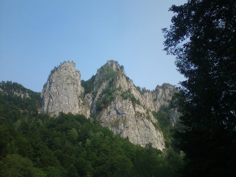 DSC02192.thumb.jpg.06385dc10bd8d6c5531a2b4c1e34e485.jpg