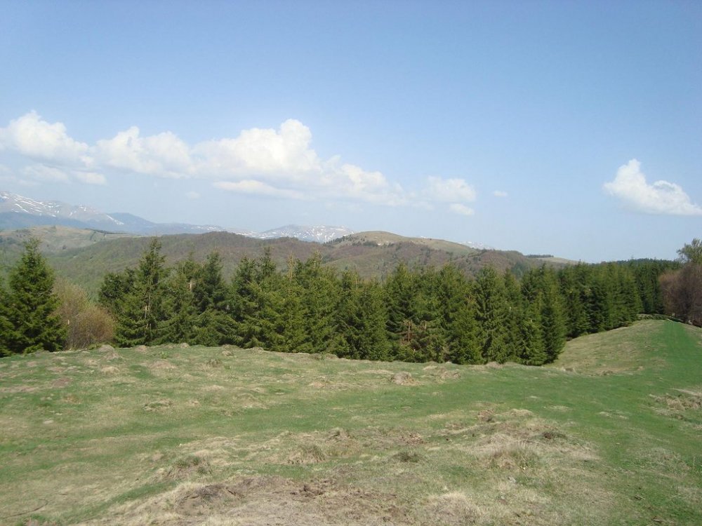 DSC02574.thumb.jpg.d01ca8dee29a1072b4133fef6335c244.jpg