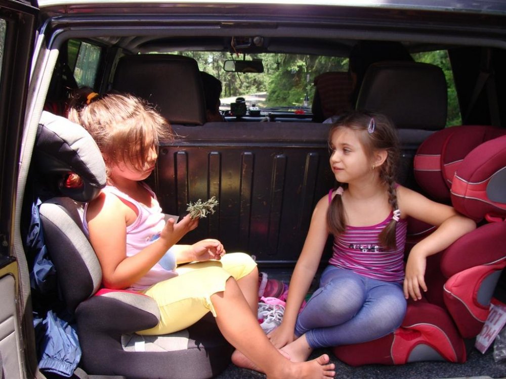 DSC03667.thumb.jpg.2ab9cad48fd3bd9cb7d724a181f61306.jpg