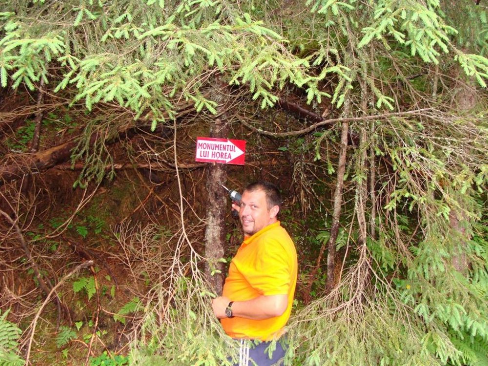 DSC03745.thumb.jpg.01850a0a1085010eebf390a726e76999.jpg