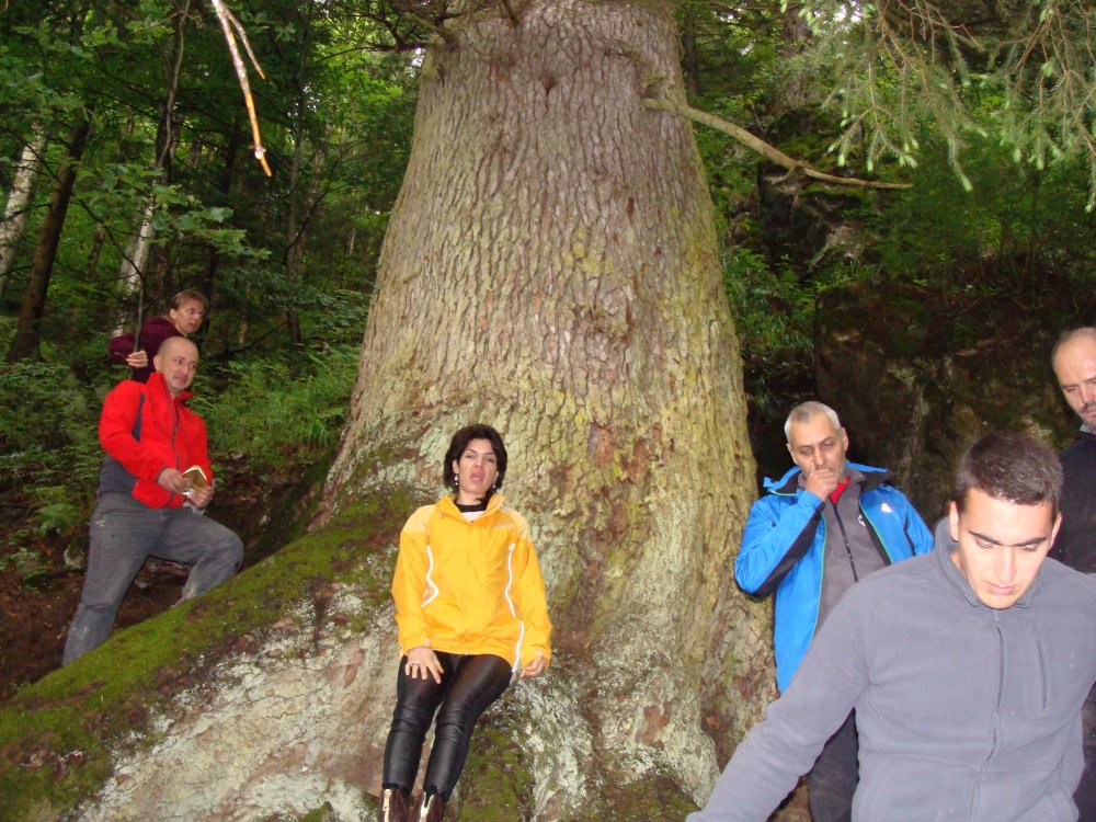 DSC05181.thumb.JPG.278a300c813a1ab9ef8323effe86cc53.JPG