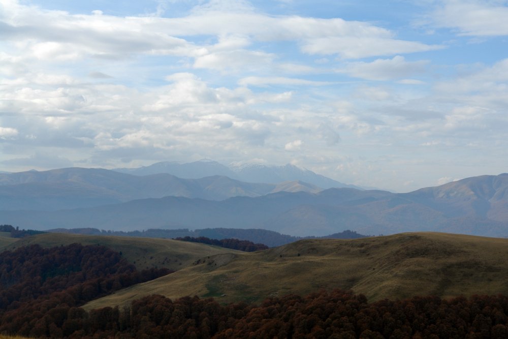 DSC07329.thumb.JPG.1c57d0f58ee43e6e28fa2f55f511d793.JPG