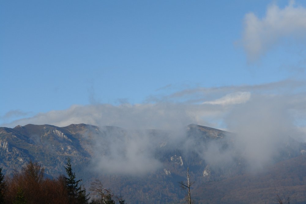 DSC07357.thumb.JPG.822d21d346cf0fc3b649701c524074fd.JPG