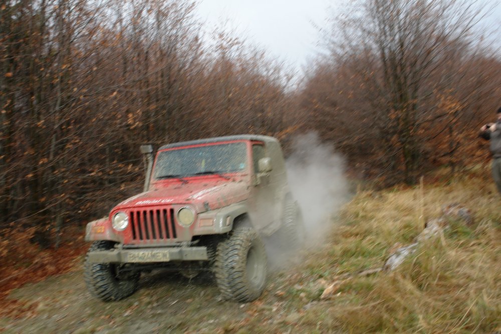 DSC07388.thumb.JPG.c6b8d26461a334e3900828ace46bc549.JPG