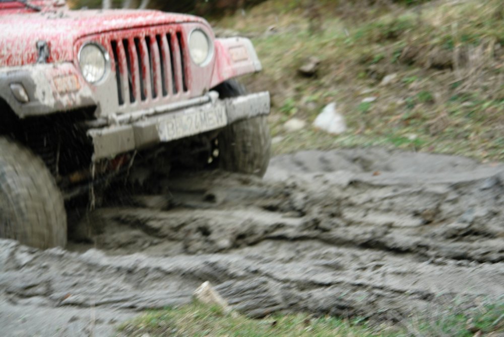 DSC07427.thumb.JPG.aabc24f243b26ddcaf7b48a5ec799cf8.JPG