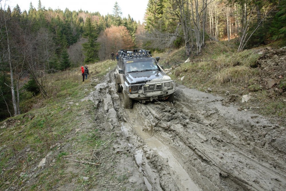 DSC07446.thumb.JPG.bc777a8d115b0fe9d35c667b572cc1c7.JPG